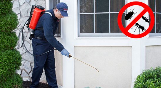 Kepsut Bit İlaçlama böcek ilaçlama ve haşere kontrolü — ilaclama-tr.com